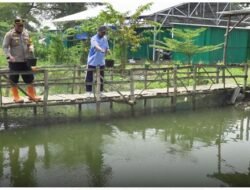 TNI-Polri Bersama Pemdes Pungpungan Kolaborasi Tanami Lahan Kosong untuk Ketahanan Pangan Berkelanjutan