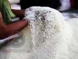 Terbongkar Praktik Pemalsuan Beras Premium disejumlah Produsen di Indonesia