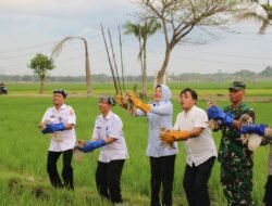 Wakil Bupati Bojonegoro Lepaskan 25 Ekor Burung Hantu di Areal Persawahan Desa Nguken