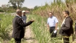 BPR Bhapertim Persada Cabang Kepung Digugat