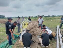 Akhirnya! Kapolsek Menutup Aktivitas Judi Sabung Ayam di Desa Pepe Sidoarjo